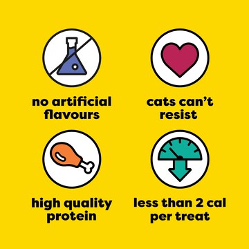 Temptations Cat Treats Catnip Flavour 85g