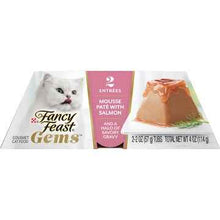 Fancy Feast Gems Mousse Pate With Salmon Wet Cat Food 57g x 2 pack