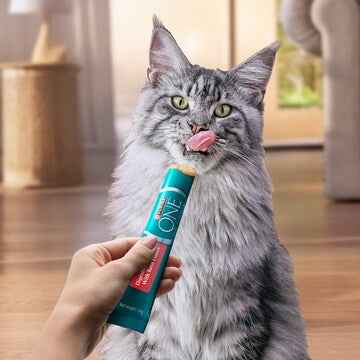 Purina One Digestive Care Cat Treats Jelly With Tuna Chunks 14g x 4 pack