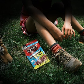 Jack Link's Mr Beast Loco Taco’d Beef Jerky 45g