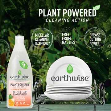 Earthwise Plant Powered Dish Liquid Orange & Eucalyptus 900mL