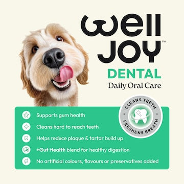 WellJoy Dental Dog Stick Treats Large 7 pack