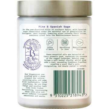 Botanica Origins Scented Candle Pine & Spanish Sage 250g