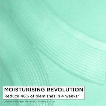 Garnier Salicylic Hydrating Sorbet Face Cream 85mL