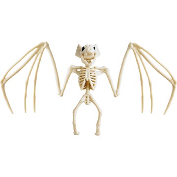 Halloween Small Skeleton Decoration Bat each