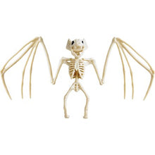 Halloween Small Skeleton Decoration Bat each