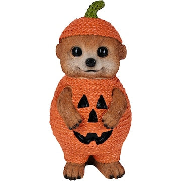 Mirabella Meerkat Figurine Pumpkin each