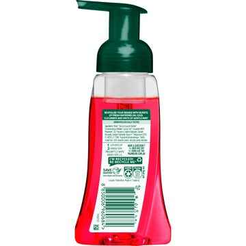 Palmolive Foaming Liquid Hand Wash Watermelon 250mL