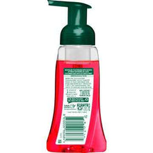 Palmolive Foaming Liquid Hand Wash Watermelon 250mL