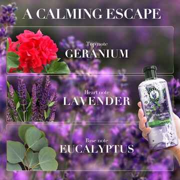 Herbal Essences Calm Frizz Lavender Conditioner 600mL