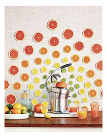 The Citrus Press Pro Stainless Steel Juicer 800CPBSS