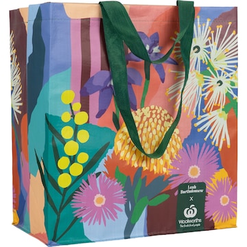 Woolworths Art Bag Assorted each