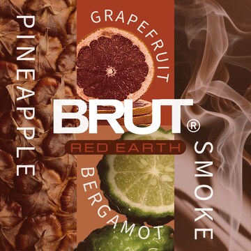 Brut 72hr Red Earth Anti Perspirant Deodorant 212mL
