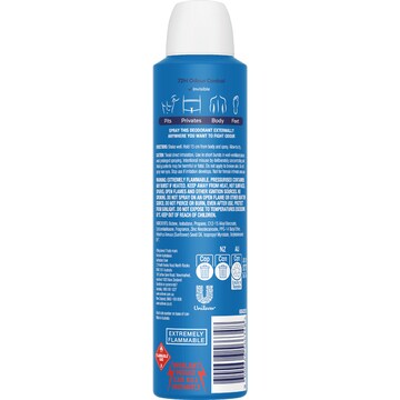 Rexona Men Whole Body Deodorant Thermo Menthol & Blue Lavender 230mL