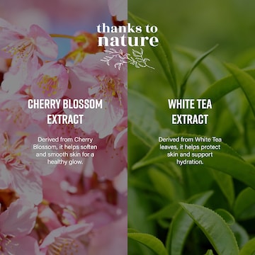 Thanks To Nature Shower Oil Body Wash Hydrate Cherry Blossom & White Tea 250mL