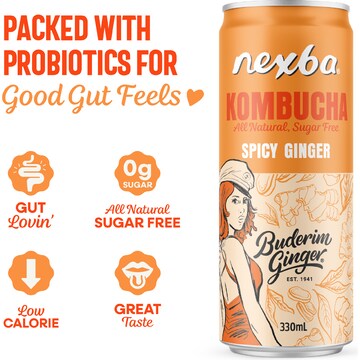 Nexba Buderim Ginger Spicy Kombucha 330mL x 4 pack