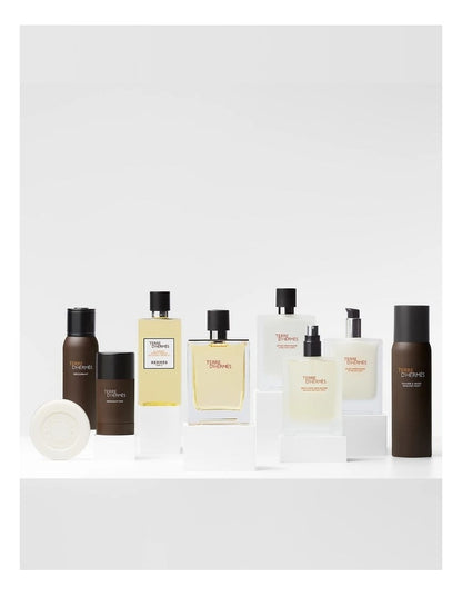 Terre d&#39;Herm&#232;s Alcohol-free Deodorant Stick 75ml