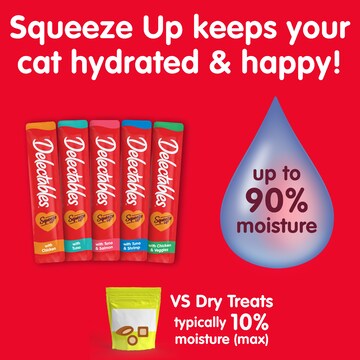 Delectables Squeeze Up Lickable Cat Treats Variety 14g x 20 pack