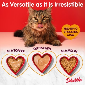 Delectables Lickable Cat Treat Bisque With Chicken 40g