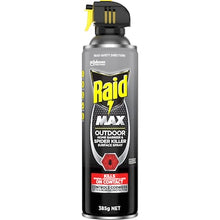 Raid Max Outdoor Spider Killer Surface Spray 385g