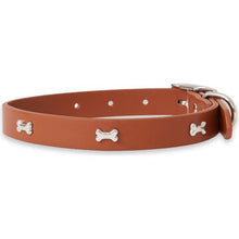 Oscar & Friends Premium Dog Collar each