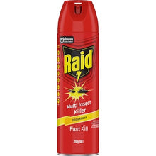 Raid Multi Insect Killer Spray Odourless 350g