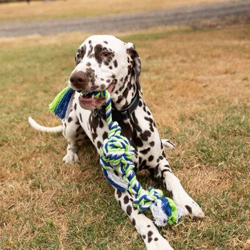 Lexi & Me Rope Knot Triple Tug Dog Toy each