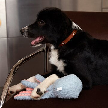 Oscar & Friends Olli the Octopus Pet Toy each