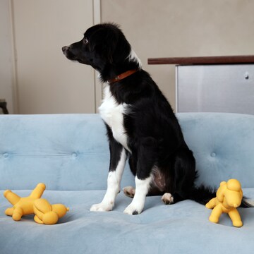 Oscar & Friends Benji The Balloon Dog Pet Toy each