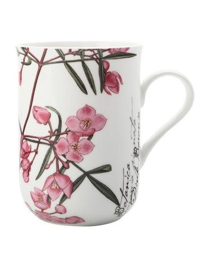 Royal Botanic Garden Mug 300ml Boronia Gift Boxed in Multi