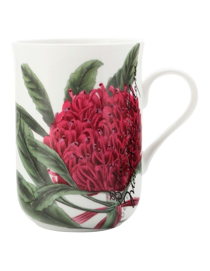 Royal Botanic Garden Mug 300ml Telopea Gift Boxed in Multi