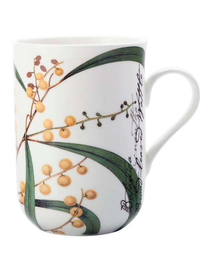 Royal Botanic Garden Mug 300ml Wattle Gift Boxed in Multi