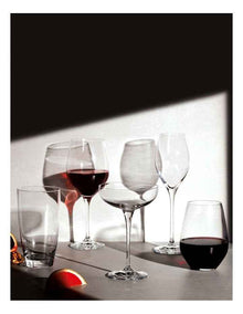 Harmony Champagne Coupe Set of 6 280ml Gift Boxed