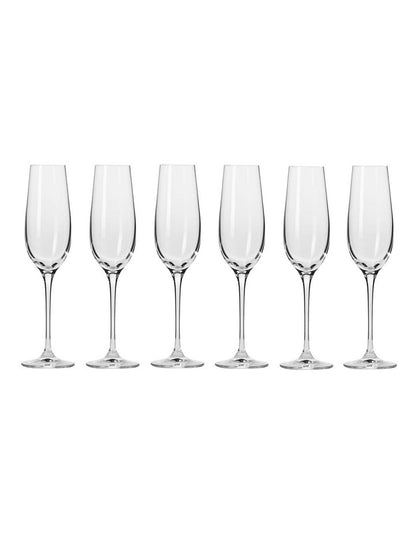 Harmony Champagne Flute 200ml Set of 6 Gift Boxed in Clear