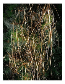 Crimped Lametta Icicles: 1400 Strands Champagne