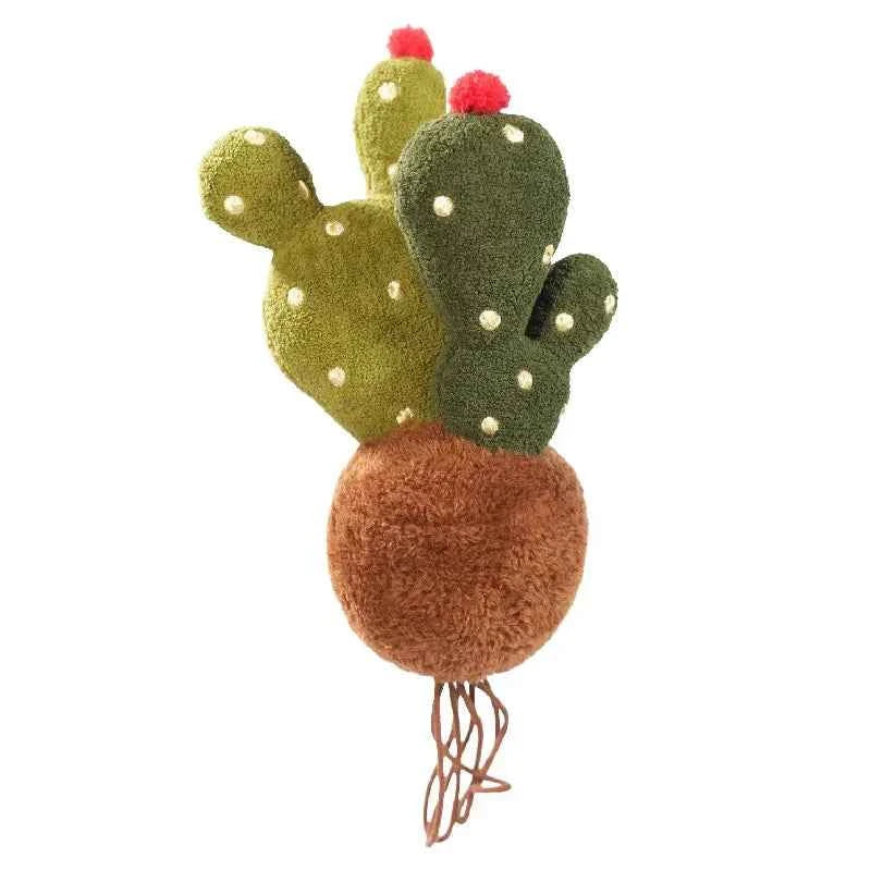 Plushwood Opuntia Microdasys Plant Plush
