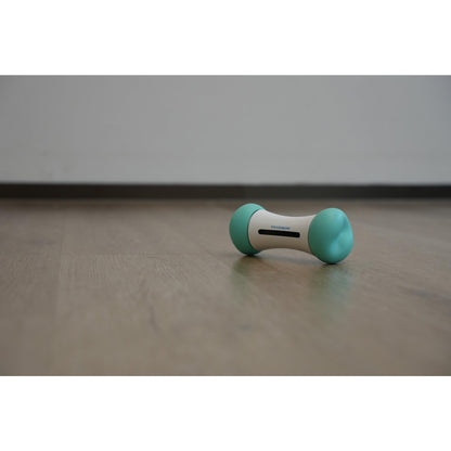 Cheerble Wicked Bone SE (Mint)