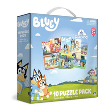 10 in 1 Licenses Jigsaw Puzzle - Assorted