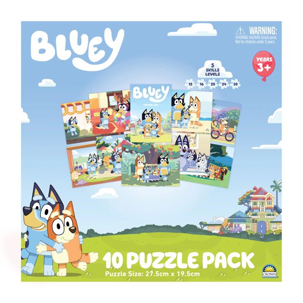 10 in 1 Licenses Jigsaw Puzzle - Assorted