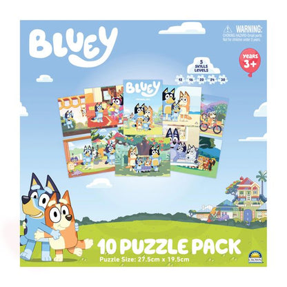 10 in 1 Licenses Jigsaw Puzzle - Assorted
