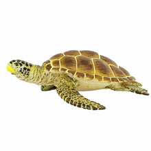 Loggerhead Turtle Figurine by Safari Ltd Sea Life Collection Aninal Figurines 3yrs+