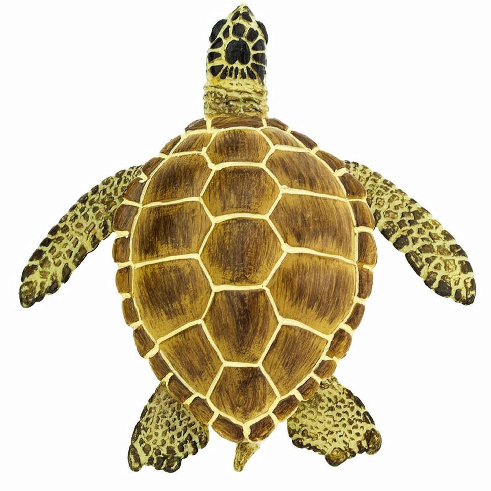 Loggerhead Turtle Figurine by Safari Ltd Sea Life Collection Aninal Figurines 3yrs+