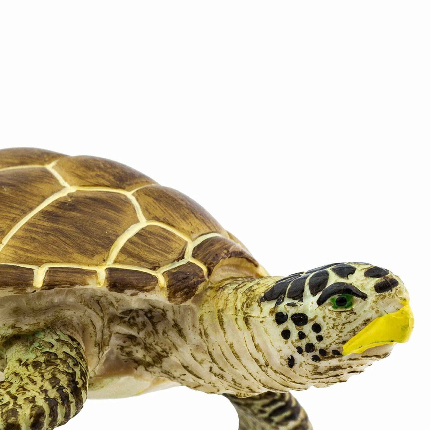 Loggerhead Turtle Figurine by Safari Ltd Sea Life Collection Aninal Figurines 3yrs+