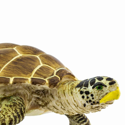 Loggerhead Turtle Figurine by Safari Ltd Sea Life Collection Aninal Figurines 3yrs+
