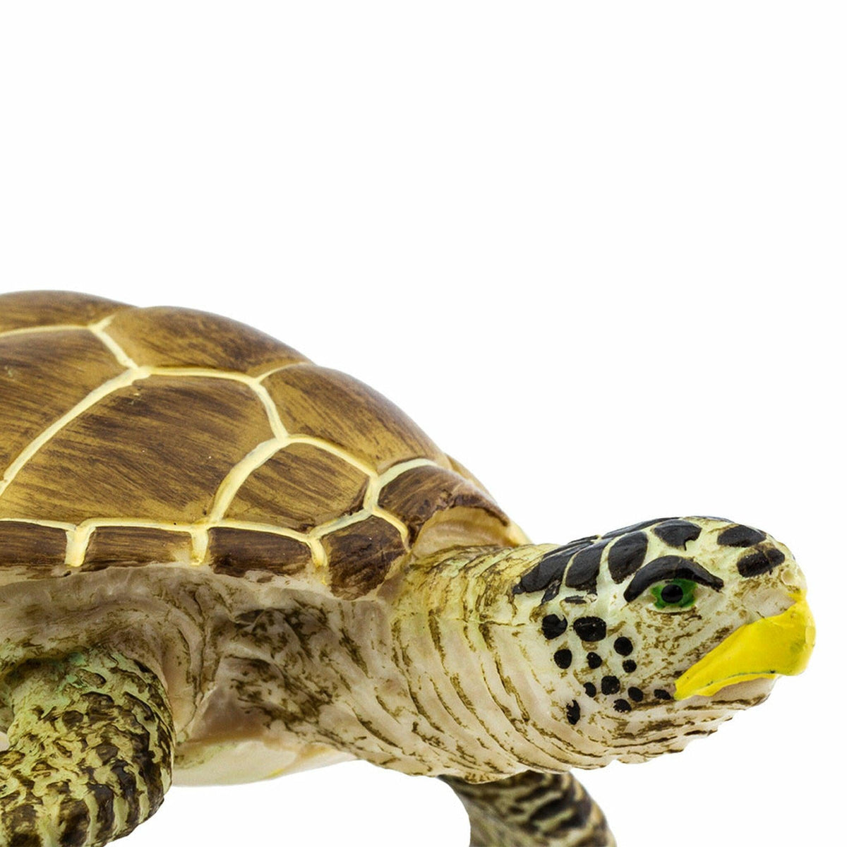 Loggerhead Turtle Figurine by Safari Ltd Sea Life Collection Aninal Figurines 3yrs+
