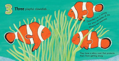 Australia Under the Sea 1 2 3 (Hardcover) by Frane Lessac Australian Animals Ocean Book