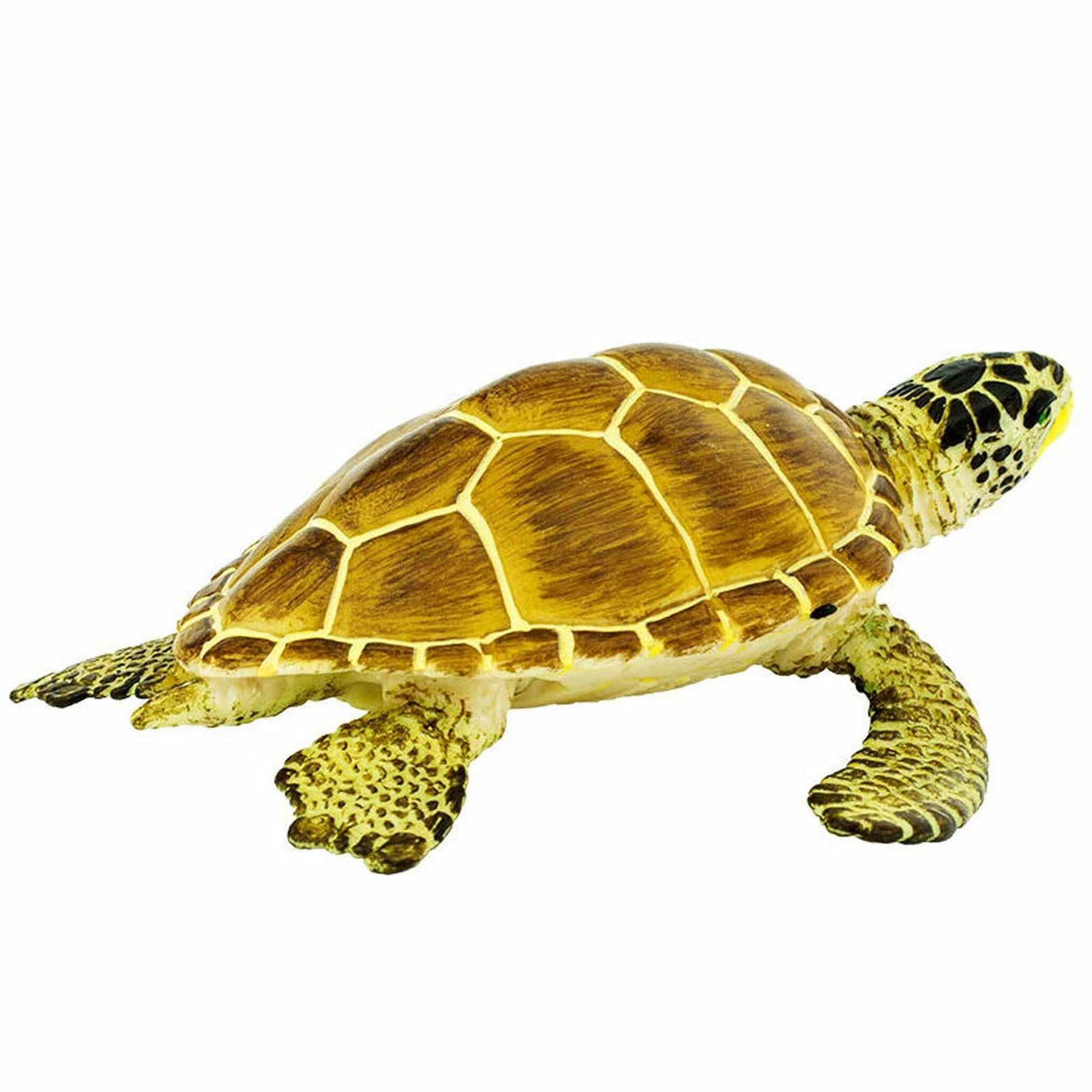 Loggerhead Turtle Figurine by Safari Ltd Sea Life Collection Aninal Figurines 3yrs+