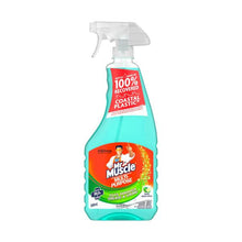 All Purpose Cleaner Disinfectant Spray Apple