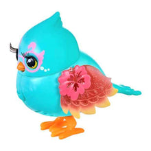 Little Live Pets Lil' Bird Single Pack - Assorted*