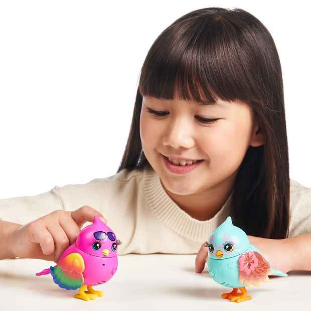 Little Live Pets Lil' Bird Single Pack - Assorted*